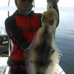 ソルトウォーターガイドフレンズ 釣果