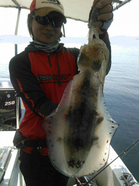 ソルトウォーターガイドフレンズ 釣果