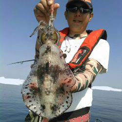 ソルトウォーターガイドフレンズ 釣果