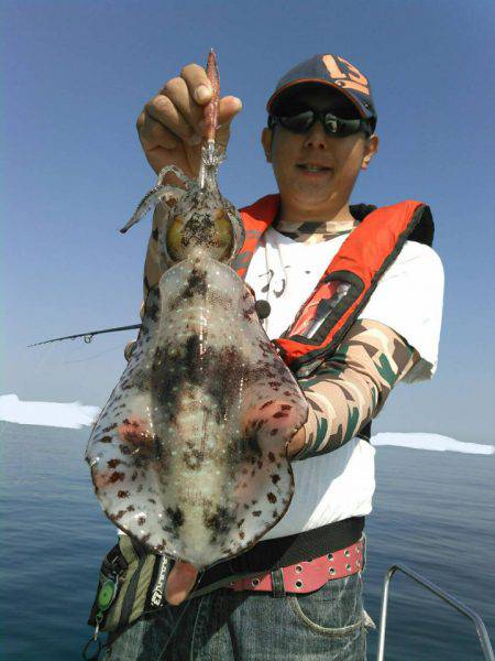 ソルトウォーターガイドフレンズ 釣果