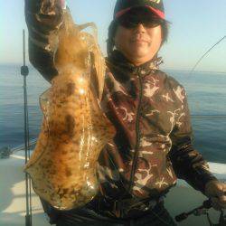 ソルトウォーターガイドフレンズ 釣果