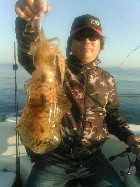 ソルトウォーターガイドフレンズ 釣果