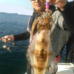 ソルトウォーターガイドフレンズ 釣果