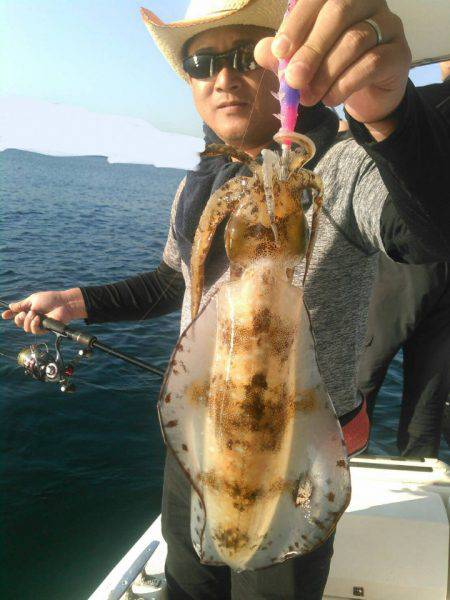 ソルトウォーターガイドフレンズ 釣果