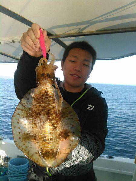 ソルトウォーターガイドフレンズ 釣果