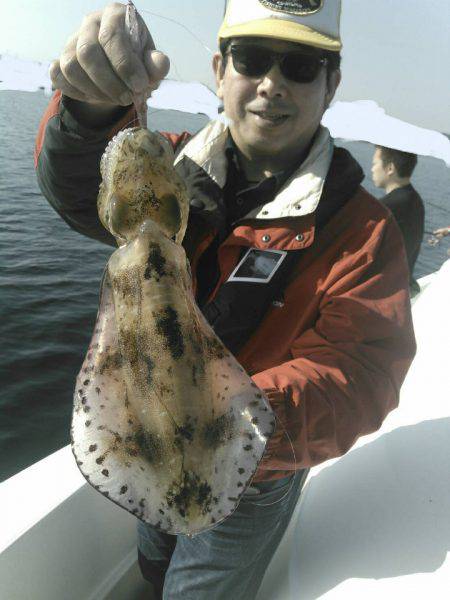 ソルトウォーターガイドフレンズ 釣果