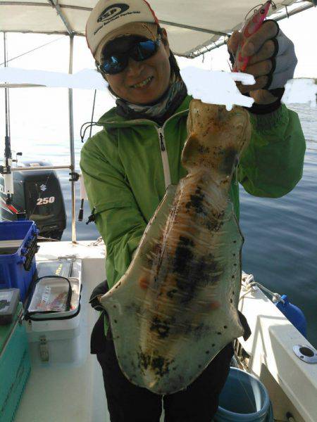 ソルトウォーターガイドフレンズ 釣果