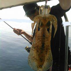 ソルトウォーターガイドフレンズ 釣果