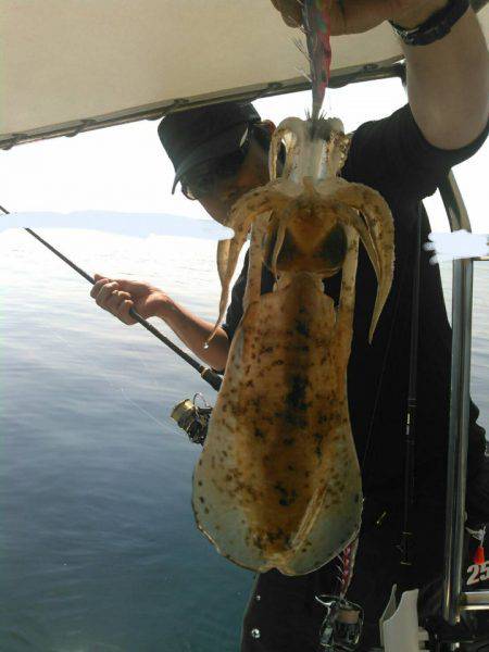 ソルトウォーターガイドフレンズ 釣果