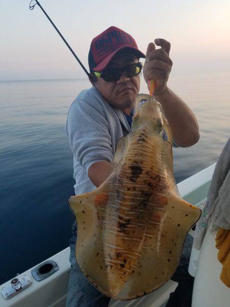 ソルトウォーターガイドフレンズ 釣果