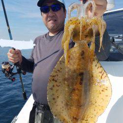 ソルトウォーターガイドフレンズ 釣果