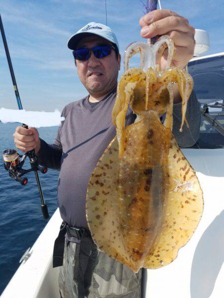 ソルトウォーターガイドフレンズ 釣果