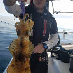 ソルトウォーターガイドフレンズ 釣果