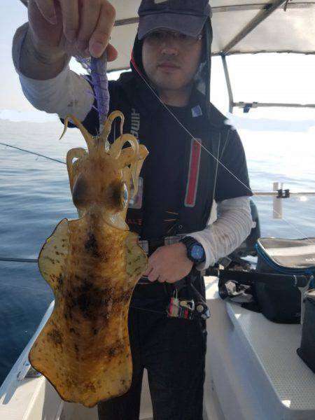 ソルトウォーターガイドフレンズ 釣果