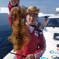 ソルトウォーターガイドフレンズ 釣果