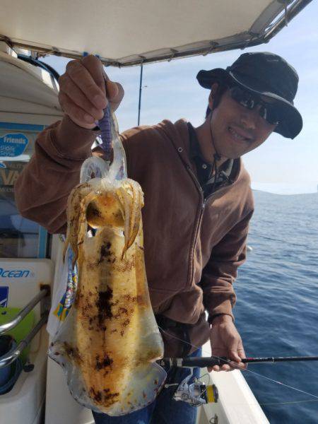 ソルトウォーターガイドフレンズ 釣果