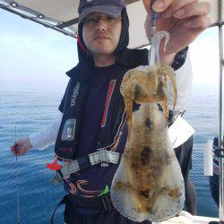 ソルトウォーターガイドフレンズ 釣果