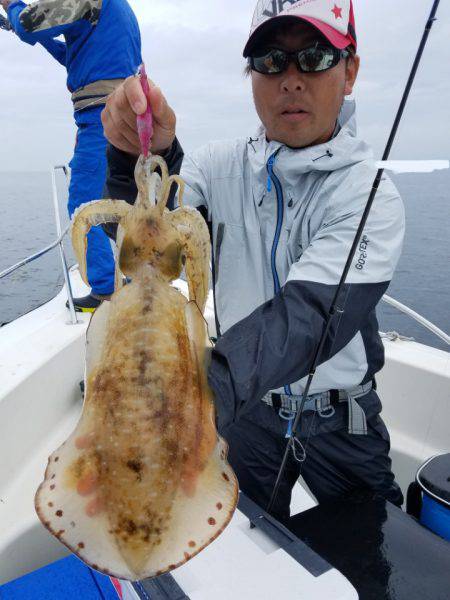 ソルトウォーターガイドフレンズ 釣果