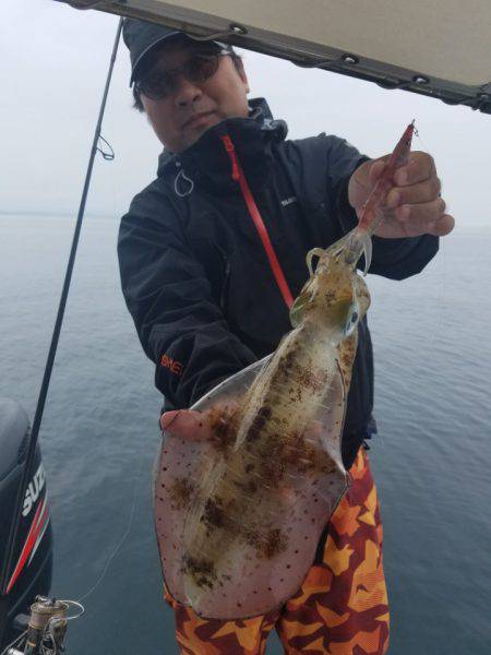 ソルトウォーターガイドフレンズ 釣果