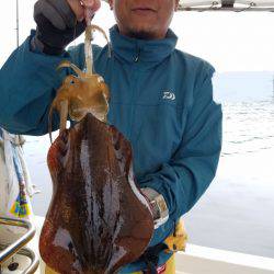 ソルトウォーターガイドフレンズ 釣果