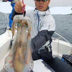 ソルトウォーターガイドフレンズ 釣果