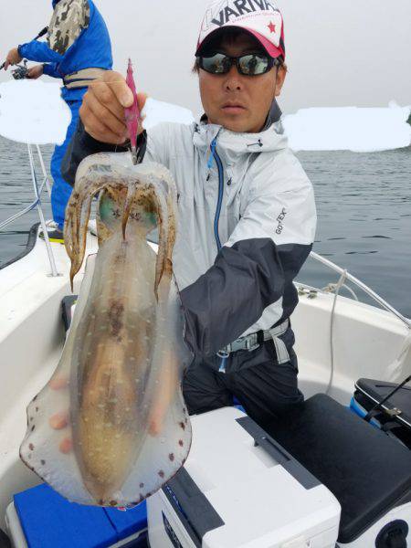 ソルトウォーターガイドフレンズ 釣果