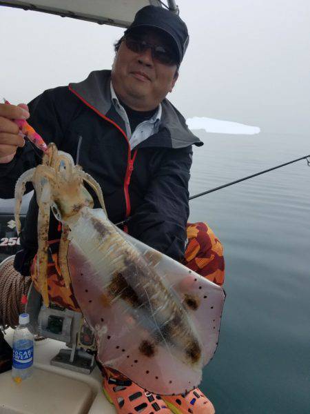 ソルトウォーターガイドフレンズ 釣果