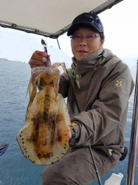 ソルトウォーターガイドフレンズ 釣果