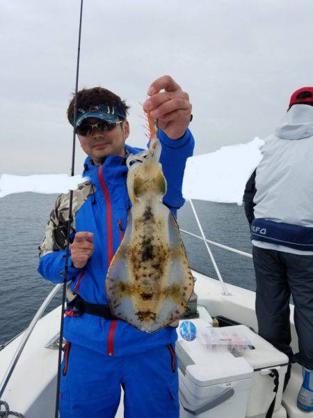 ソルトウォーターガイドフレンズ 釣果