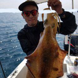 ソルトウォーターガイドフレンズ 釣果