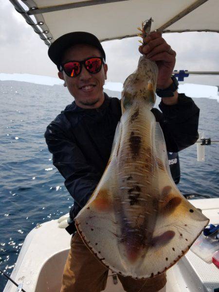 ソルトウォーターガイドフレンズ 釣果