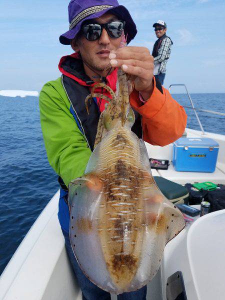 ソルトウォーターガイドフレンズ 釣果