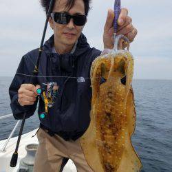 ソルトウォーターガイドフレンズ 釣果