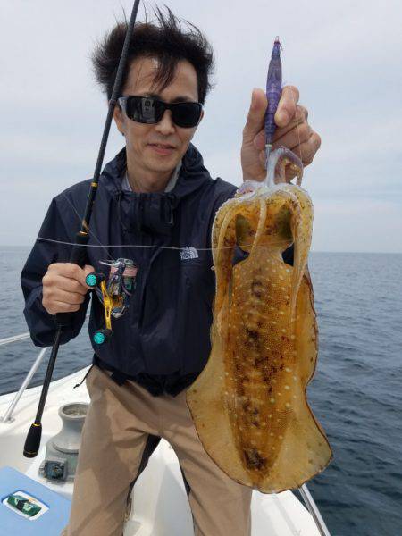 ソルトウォーターガイドフレンズ 釣果