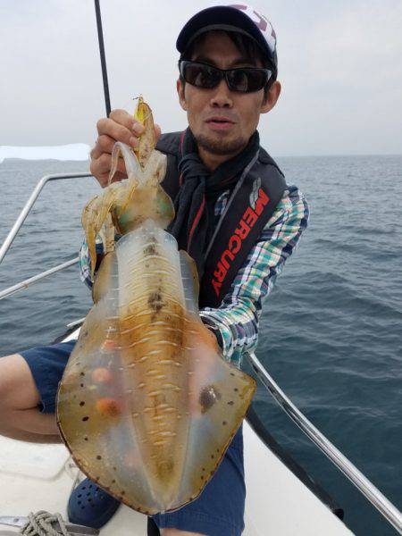 ソルトウォーターガイドフレンズ 釣果