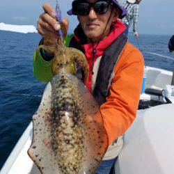 ソルトウォーターガイドフレンズ 釣果