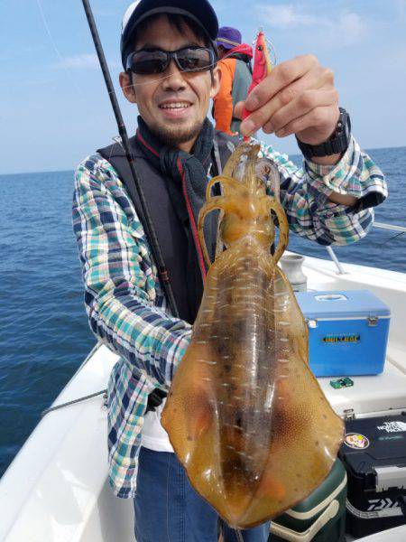 ソルトウォーターガイドフレンズ 釣果