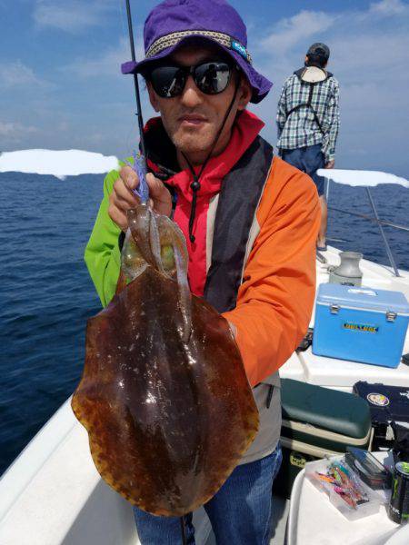 ソルトウォーターガイドフレンズ 釣果