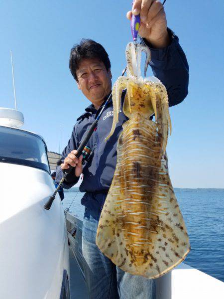 ソルトウォーターガイドフレンズ 釣果