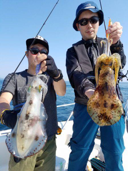 ソルトウォーターガイドフレンズ 釣果