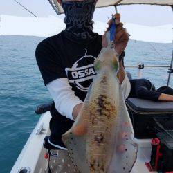 ソルトウォーターガイドフレンズ 釣果