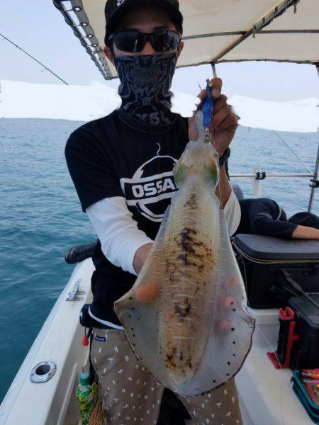 ソルトウォーターガイドフレンズ 釣果