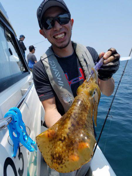 ソルトウォーターガイドフレンズ 釣果