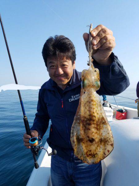 ソルトウォーターガイドフレンズ 釣果