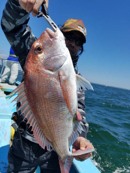 みやけ丸 釣果