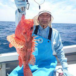 エンペラー 釣果