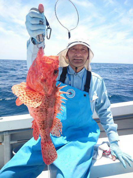 エンペラー 釣果