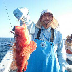 エンペラー 釣果