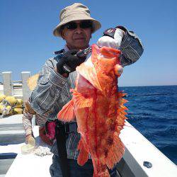 エンペラー 釣果