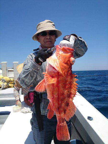 エンペラー 釣果